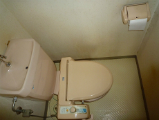 �x�X�g���W�f���X�ݗ�