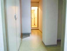 �n�C�r���b�W�ԉ�