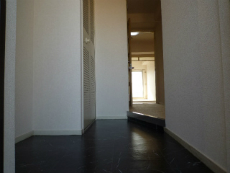 �\���A�[�h�R�[�gA�^�C�v