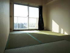 �\���A�[�h�R�[�gA�^�C�v