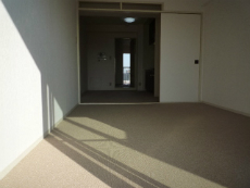 �\���A�[�h�R�[�gA�^�C�v