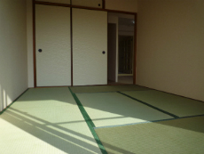 �\���A�[�h�R�[�gA�^�C�v