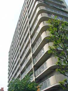 �\���A�[�h�R�[�gA�^�C�v