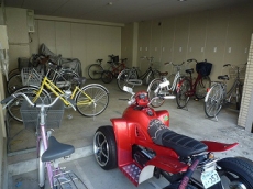 �\���A�[�h�R�[�gA�^�C�v