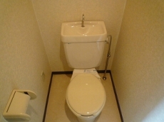 �\���A�[�h�R�[�gA�^�C�v