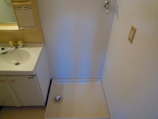 ���a�I�[�g���[�N�r��