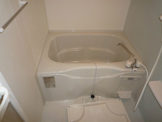 �J�����h�r�X�^�V�I��