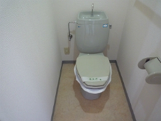 ���]�����i