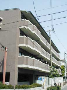 ���]�����i