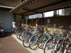 �����v���U�k����