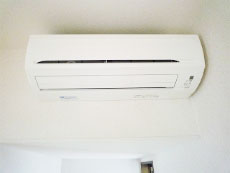 �V�F�|�[���j���l