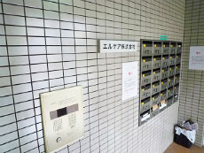 �V�F�|�[���j���l