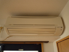 �v�����h�[��