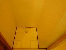 �v�����h�[��