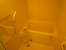 �v�����h�[��