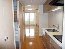 P-FLAT�V������