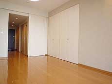 P-FLAT�V������