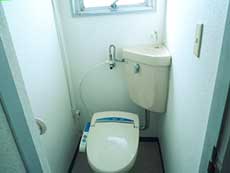 P-FLAT�V������