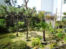 P-FLAT�V������