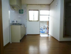 P-FLAT�V������