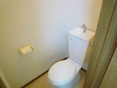 P-FLAT�V������