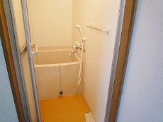 P-FLAT�V������