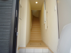 �V���[���]���V�_�m�X