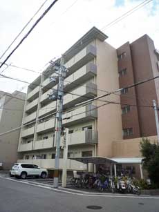 �t�@�~�[���t�^�o