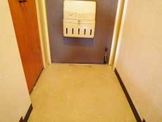 �p�[�N�T�C�h���