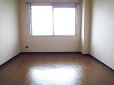 �p�[�N�T�C�h���