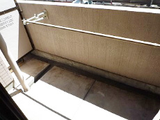 �V�e�B�ݗ�