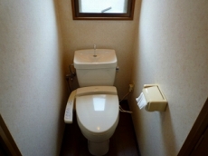 �n�C�c�o�g�V��