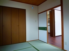 �n�C�c�o�g�V��