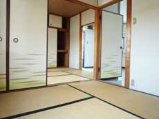 �n�C�c�o�g�V��