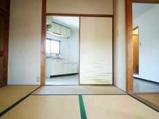 �n�C�c�o�g�V��