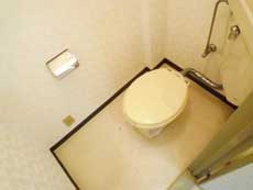 �n�C�c�o�g�V��