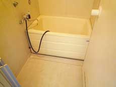 �n�C�c�o�g�V��