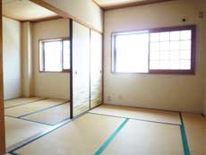 �n�C�c�o�g�V��