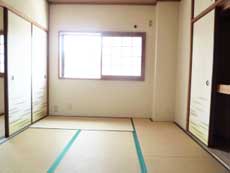 �n�C�c�o�g�V��