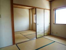 �n�C�c�o�g�V��