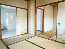 �n�C�c�o�g�V��