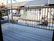 �n�C�c�o�g�V��