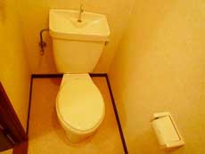 �A�K�}���V����