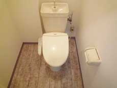 �A�K�}���V����