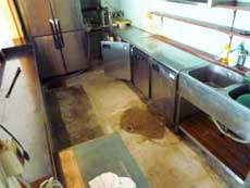 �V���b�g�E�h�[�E�����B�G�[��