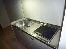 ������ �ʏo�� ���s�X���Y��