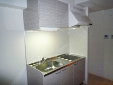 ������ �ʏo�� ���s�X���Y��