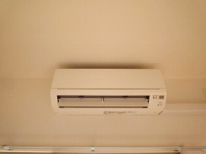 �Z�V�]�� �l���� �t���C�����X�l�� �G�A�R��