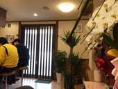 �Z�V�] �����ꉮ �m�H���X �j���[�Ƃ�